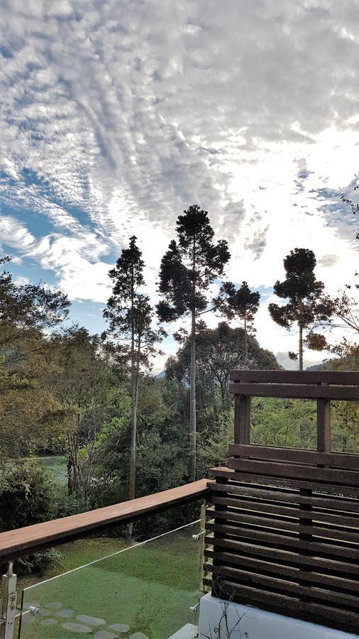 Around The Tree Manor Shitan Quarto foto