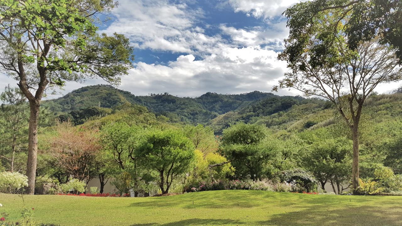 Around The Tree Manor Shitan Quarto foto