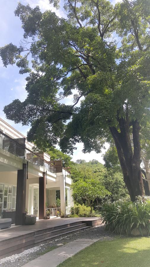 Around The Tree Manor Shitan Quarto foto