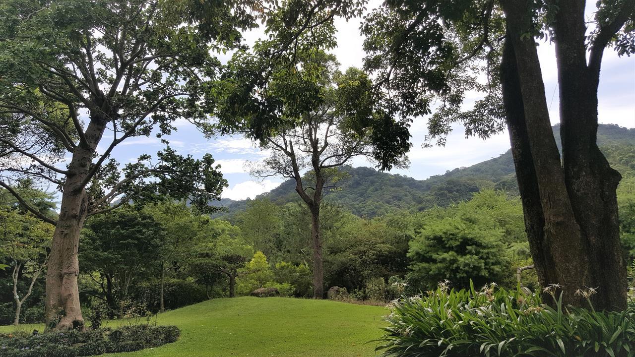 Around The Tree Manor Shitan Quarto foto