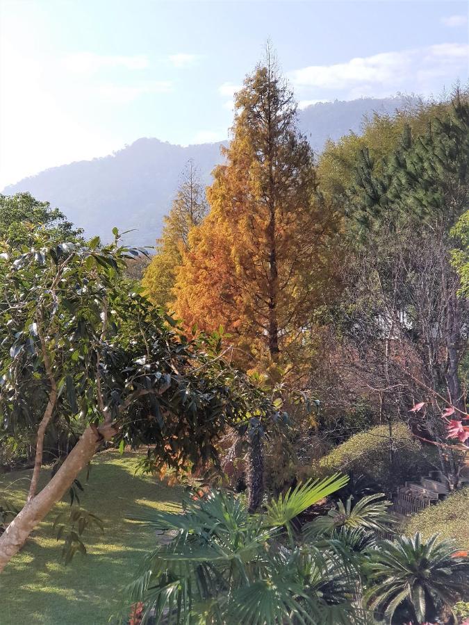 Around The Tree Manor Shitan Quarto foto